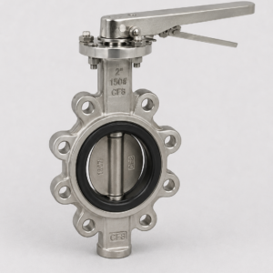 Replaceable Seat Butterfly Valve